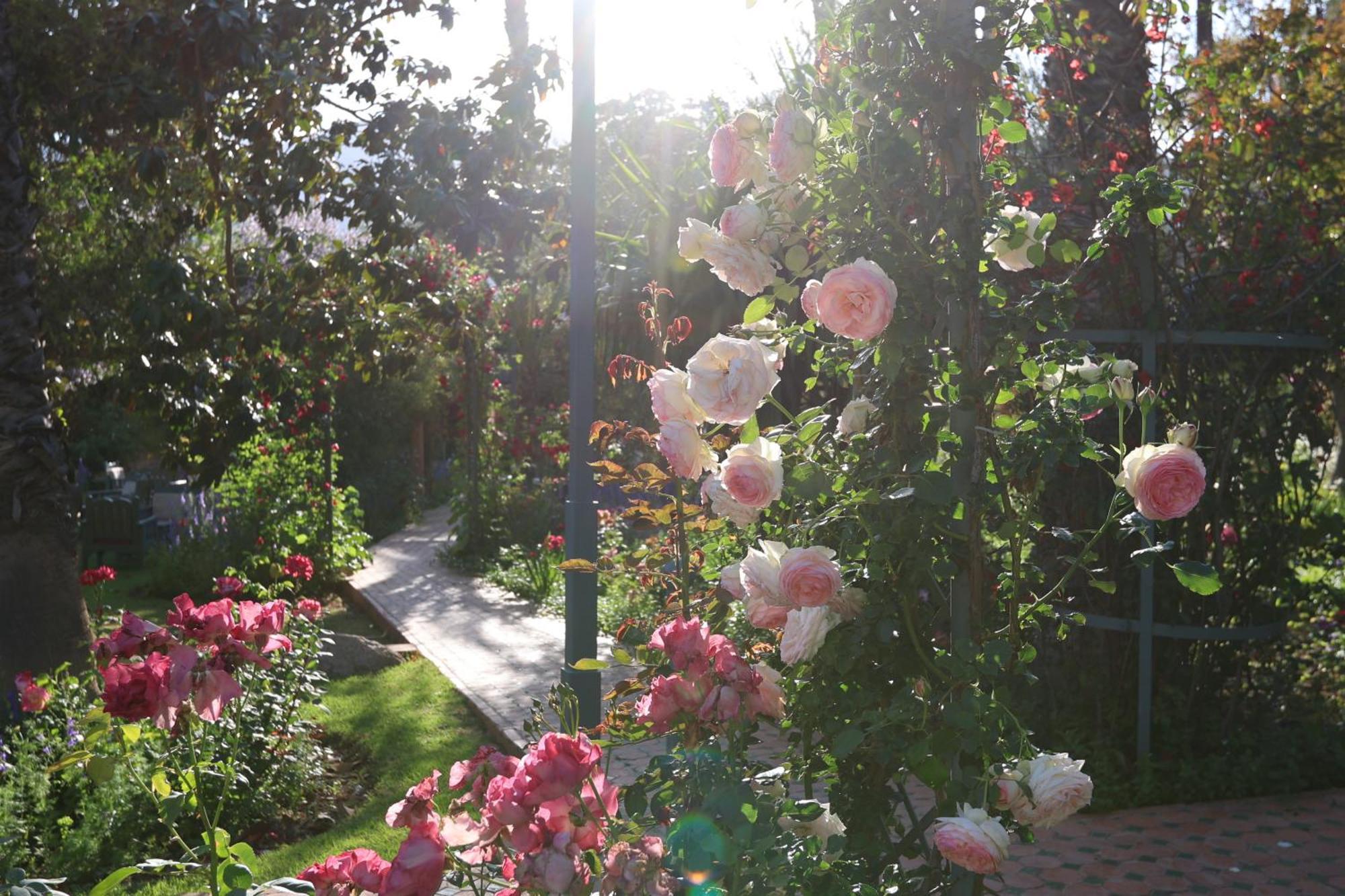 Domaine De La Roseraie Resort Ouirgane Kültér fotó