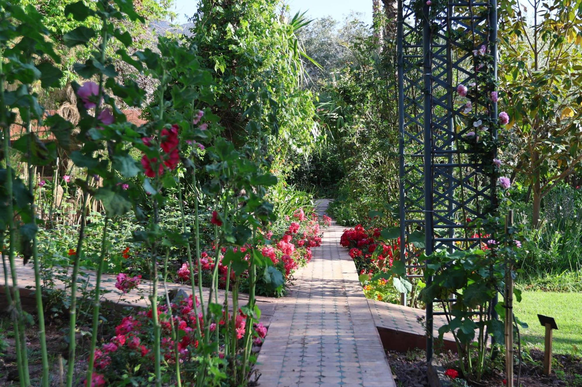Domaine De La Roseraie Resort Ouirgane Kültér fotó