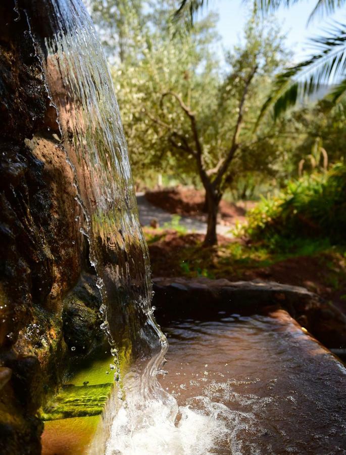 Domaine De La Roseraie Resort Ouirgane Kültér fotó